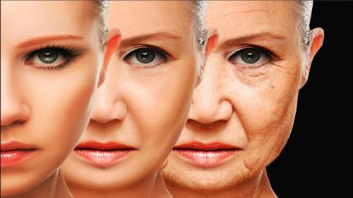 Мелкоморщинистый тип старения кожи лица. «Усталый» тип старения 03 Мелкоморщинистый тип старения кожи лица. «Усталый» тип старения 03