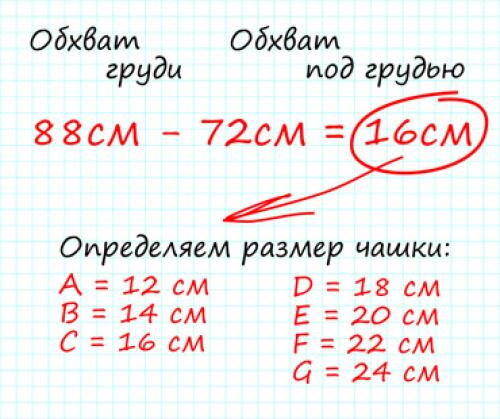 Как определить размер одежды по измерениям: пошаговое руководство 08 Как определить размер одежды по измерениям: пошаговое руководство 08