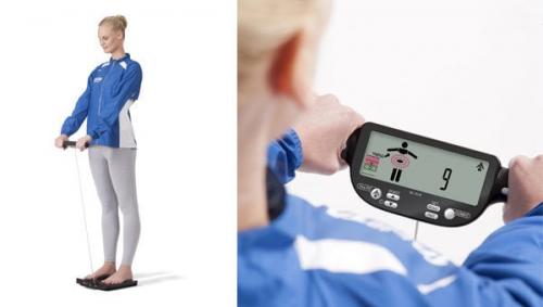 Как узнать свой процент жира в домашних условиях. Особенности измерений и вычислений