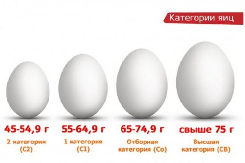 Вес яичницы из 2 яиц. Сколько весит куриное яйцо (мерная таблица)