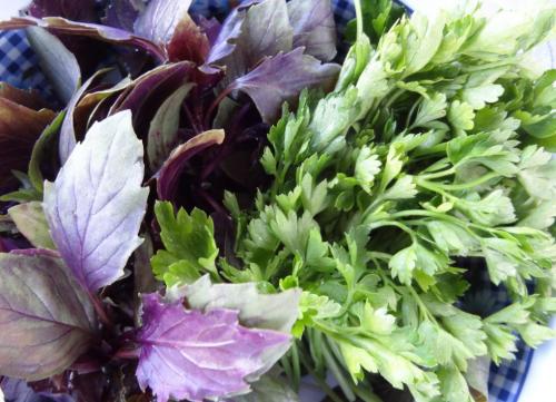 Можно ли шашлык правильном питании. Шашлык при правильном питании 04 Можно ли шашлык правильном питании. Шашлык при правильном питании 04