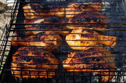 Как жарить куриные ножки на мангале. Как замариновать курицу для гриля на мангале — простой рецепт вкусного маринада для сочных куриных ножек с пошаговыми фото