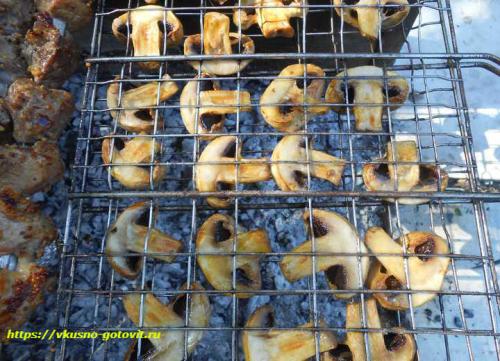 Куриная голень на мангале. Сочные куриные ножки на гриле на мангале в горчично-чесночном соусе с овощами