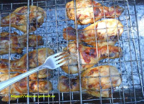 Куриная голень на мангале. Сочные куриные ножки на гриле на мангале в горчично-чесночном соусе с овощами