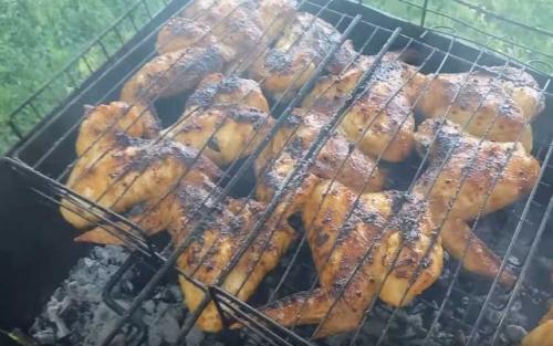 Куриная грудка в соевом соусе на мангале. Шашлык из куриных крылышек в горчичном маринаде с соево-медовым соусом
