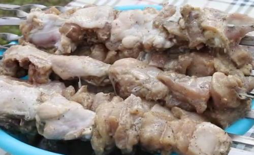 Курица кусочками на мангале. Самый вкусный маринад для шашлыка из курицы, чтобы мясо было мягким