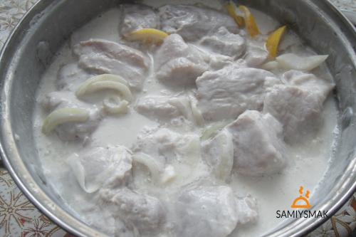 Шашлык из курицы в майонезе с уксусом. Сочный шашлык из курицы – 38 вкусных маринадов