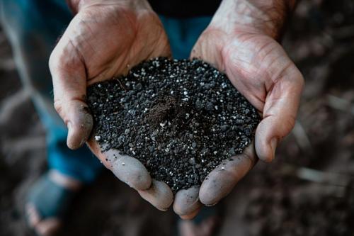 Какие питательные вещества необходимы для роз осенью Какие питательные вещества необходимы для роз осенью